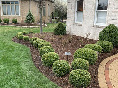 Landscape Maintenance, Munster, IN